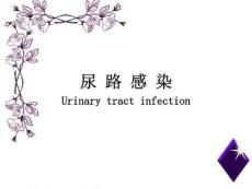 尿路感染PPT课件