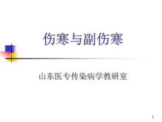 伤寒与副伤寒课件PPT