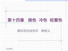 外科学(总论)王柏群第十四章烧伤、冷伤、咬螫伤PPT