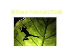 肠道缺血性疾病的CT诊断