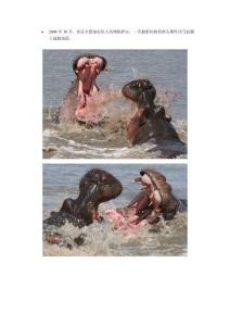 攝影師拍到河馬血腥大戰罕見場面(組圖)