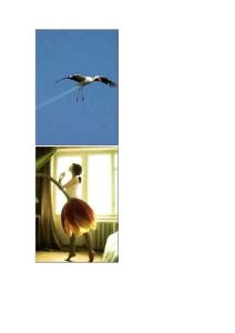 牛人抓拍爆笑巧合瞬間