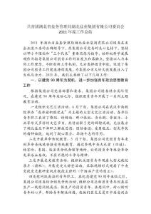 團委2011總結