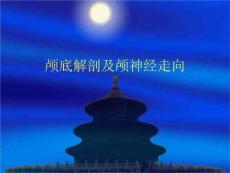 颅底解剖及颅神经走向