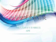 韦格氏肉芽肿课件