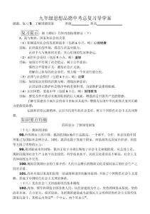 九年级思想品德中考总复习导学案5