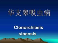 《华支睾吸虫病》PPT课件