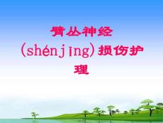 臂丛神经损伤护理