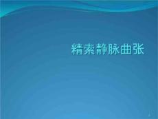 《精索静脉曲张》PPT课件