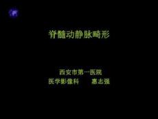 《脊髓血管畸形》PPT课件