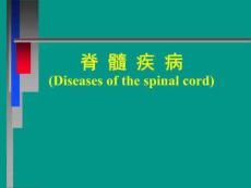 《脊髓压迫症》PPT课件