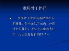 《胫腓骨干骨折》PPT课件
