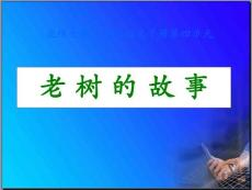 一年级语文下册老树的故事1课件北师大版