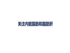 关注内脏脂肪和脂肪肝