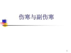 伤寒与副伤寒课件