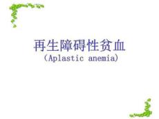 再生障碍性贫血新