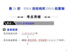 2010届高三生物一轮复习课件第24讲  DNA的结构和DNA的复制苏教版 【精编】