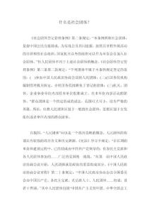 什么是社会团体