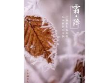 65、 2020年  二十四節(jié)氣國畫水墨課   霜降創(chuàng)意畫 幼兒美術課件