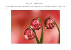 神奇的大自然：十大魔力水滴