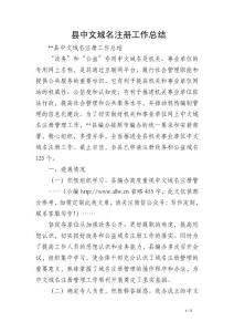 縣中文域名注冊工作總結