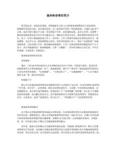 偏身咏春拳的简介