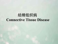 结缔组织病(本)
