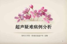 超聲疑難病例分析模板（ppt課件）