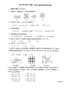 第二学期七年级下册数学学科期中联考试卷