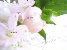 驗(yàn)廠培訓(xùn)COC【薪酬管理類】