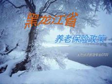 黑龍江省養(yǎng)老保險(xiǎn)政策【薪酬管理類】