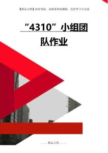 “4310”小組團隊作業