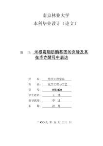 米根霉脂肪酶基因的克隆及其