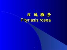 红斑及红斑鳞屑性皮肤病PPT课件