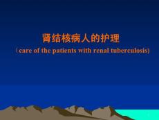 肾结核病人的护理课件