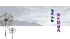 《肾小球肾炎》