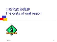口腔组织病理学：口腔颌面部囊肿