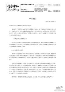 雙匯發展：備考合并財務報表審計報告