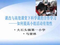 課改與高效課堂下科學課的合作學習-----如何提高小組活動有效性