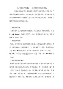 玉米炭疽病症状    玉米炭疽病防治措施