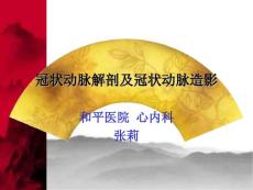 冠状动脉解剖及冠状动脉造影教学课件 (2）