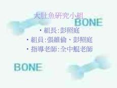 【經管類】大肚魚研究小組