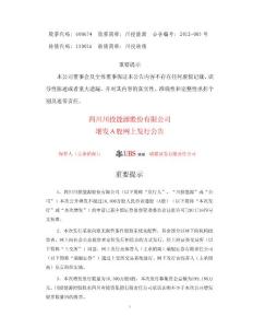 川投能源增发A股网上发行公告600674