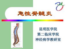 急性脊髓炎 ppt课件