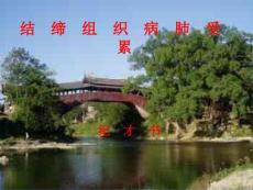 结缔组织病肺受累