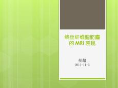 终丝纤维脂肪瘤