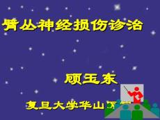 臂丛神经损伤诊治