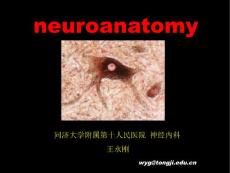 脊髓病肌病周围神经病见习