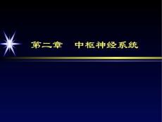 脑外伤教学1