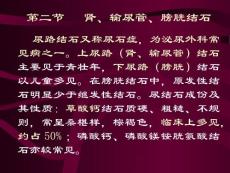 肾输尿管膀胱结石